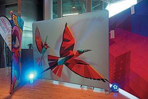 Nettl Straight Backdrops